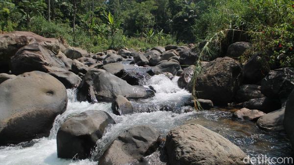 Foto: Curug Leuwi Asih yang Segar Buat Libur Weekend di Bogor