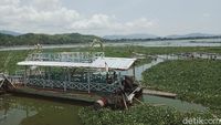 Kapal Wisata Rawa Jombor: Dulu Ikon, Kini Mangkrak Dikepung Eceng Gondok