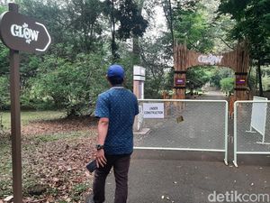 Greenpeace soal Wisata Cahaya di Kebun Raya Bogor: Hati-hati