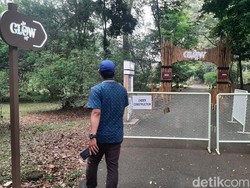 Greenpeace soal Wisata Cahaya di Kebun Raya Bogor: Hati-hati