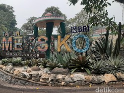 Polemik Glow in The Dark Kebun Raya Bogor Berlanjut, Ada Apa Ya?