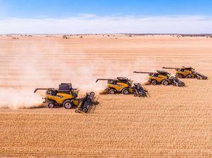 Kekurangan Pekerja di Australia, PNS Ditawari Cuti Berbayar untuk Bantu di Musim Panen