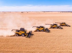 Kekurangan Pekerja di Australia, PNS Ditawari Cuti Berbayar untuk Bantu di Musim Panen