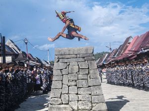 Tradisi Lompat Batu di Nias, Prosesi Sakral soal Pengakuan Diri Tradisi Lompat Batu di Nias, Prosesi Sakral soal Pengakuan Diri