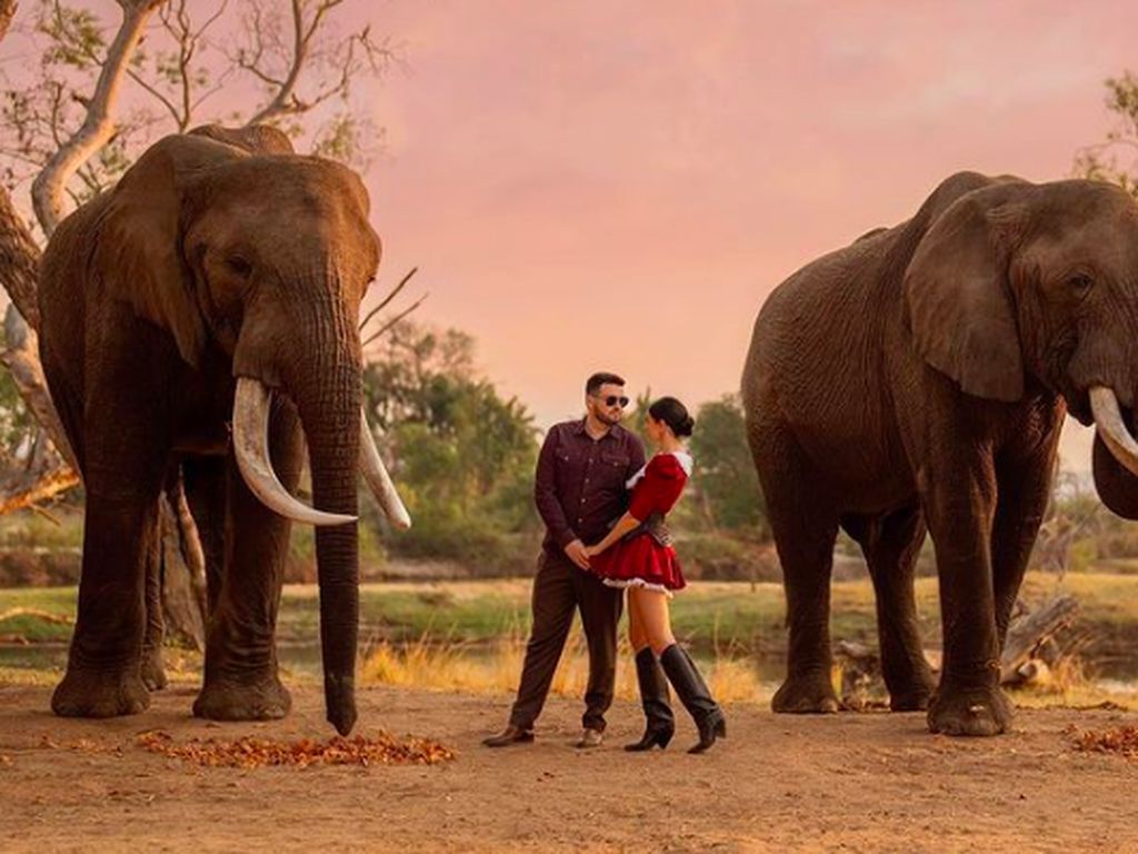 Wow! Demi Menikah di Taman Safari, Influencer Ini Rela Rogoh Rp 57 M