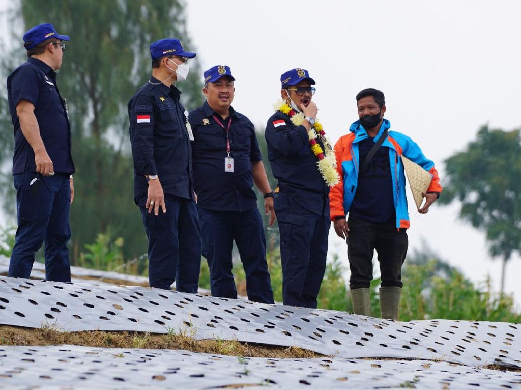 Temanggung Dipilih Jadi Lokasi Food Estate, Ini Alasannya Temanggung Dipilih Jadi Lokasi Food Estate, Ini Alasannya
