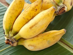 Waduh! Kakek Ini Bayar Rp 4,2 Juta untuk Sekilo Pisang