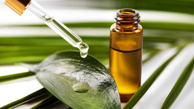 tea tree oil tea tree oil