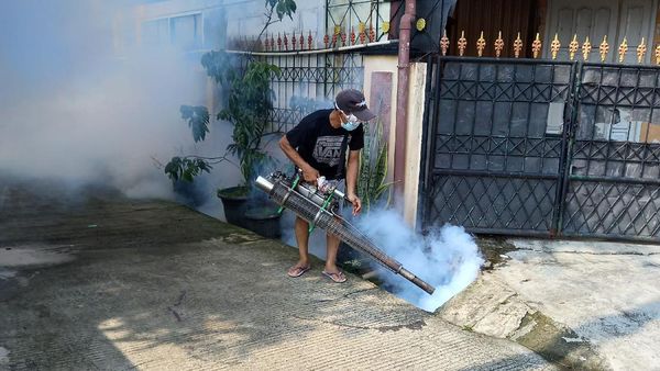 Ramai-ramai Fogging untuk Cegah DBD