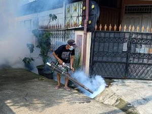 Ramai-ramai Fogging untuk Cegah DBD