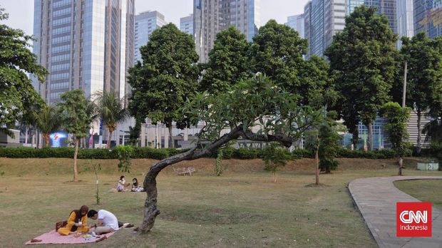 Galfot Hutan Kota GBK Kembali Dibuka Aktivitas pengunjung di Hutan Kota Gelora Bung Karno, Jakarta, Sabtu, 16 Oktober 2021. Hutan Kota GBK yang sempat tutup imbas PPKM telah dibuka kembali. (CNN Indonesia/ Adhi Wicaksono)