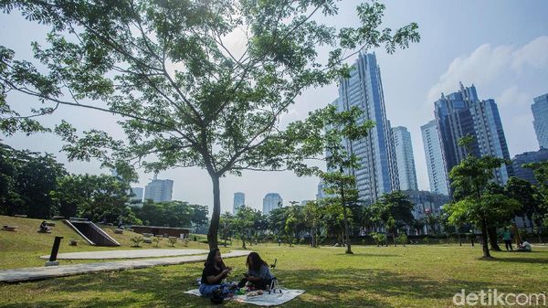 Gaes Hutan Kota GBK Sudah Buka Nih