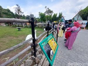Lembang Park and Zoo Sudah Ramai Wisatawan Lho