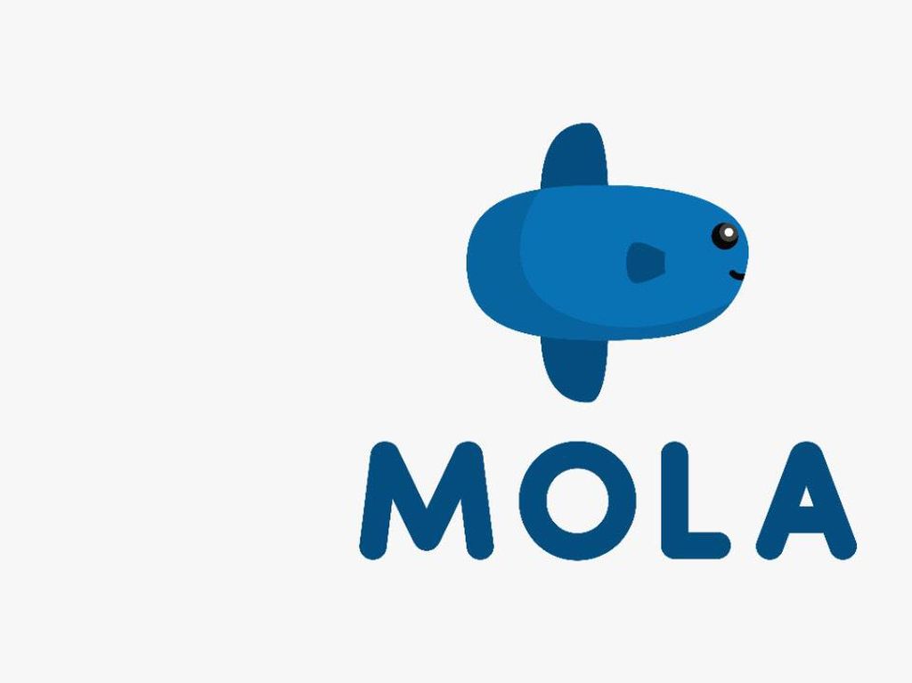 Ekspansi ke Eropa, Mola Patok Harga Rp 110 Ribu/Bulan Ekspansi ke Eropa, Mola Patok Harga Rp 110 Ribu/Bulan