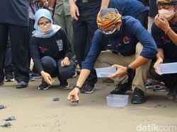 Sandiaga Berdayakan Masyarakat Melalui Konservasi Penyu di Pantai Serang