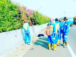 Polisi Selidiki Sebab Kematian Mayat Perempuan di Tol Sedyatmo Jakut