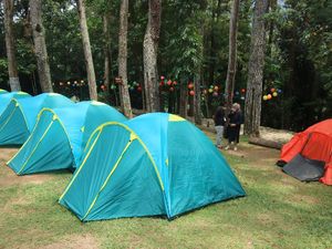 Spot Ngadem dan Ijo Royo-royo di Kudus, Pijar Park