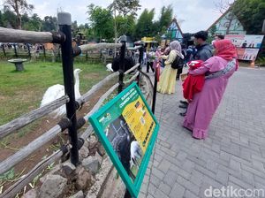 Potret Lembang Park and Zoo Disesaki Wisatawan