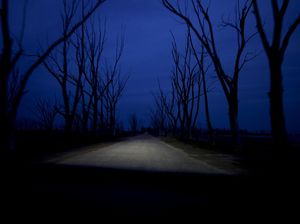 Villa Epecuen, Kota Hantu yang Dulunya Destinasi Populer di Argentina