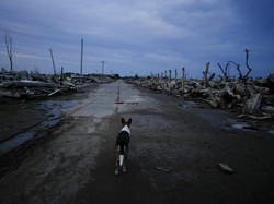 Miliarder Ini Beli 1 Kota Kosong, Alasannya Bikin Bengong