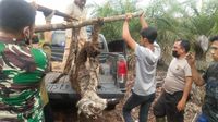 Penampakan Harimau Sumatera Betina yang Mati Kena Jerat di Riau