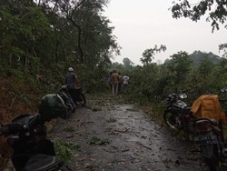 Hujan Es Disertai Angin Kencang Terjang Madiun Bikin Akses Jalan Putus