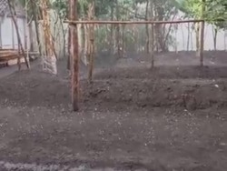 BMKG Jelaskan Penyebab Hujan Es yang Landa Madiun