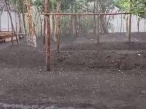 BMKG Jelaskan Penyebab Hujan Es yang Landa Madiun BMKG Jelaskan Penyebab Hujan Es yang Landa Madiun