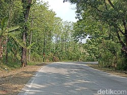 Hutan TKP Mayat Wanita Bugil Ditemukan Ternyata Kuburan Massal PKI Grobogan