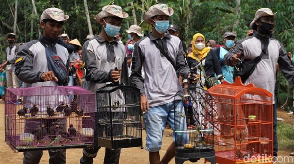 Kala Warga di Desa Banjarnegara Lepas Ratusan Burung ke Alam