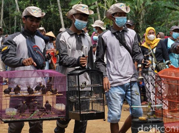 Kala Warga di Desa Banjarnegara Lepas Ratusan Burung ke Alam