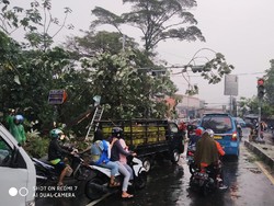 Hujan Angin, Pohon di Bogor dan Sukabumi Tumbang Timpa Mobil-Rumah