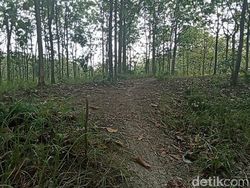 Ternyata TKP Mayat Wanita Bugil Lokasi Kuburan Massal PKI Grobogan
