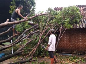 Rumah Rusak-Pohon Tumbang Imbas Hujan Es di Madiun