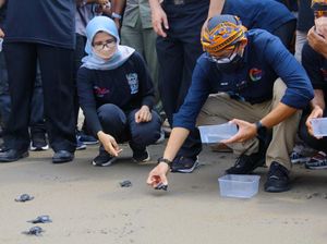 Sandiaga Lepas Tukik di Desa Wisata Pantai Serang