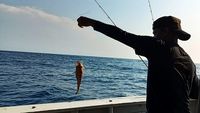 Serunya Mancing Ikan Kakap-Tenggiri di Perairan Selat Sunda