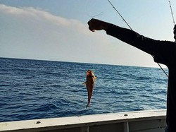 Siap-siap Pehobi! KKP Atur Kuota Mancing Ikan di Lautan