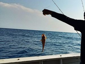 Mancing Ikan di Laut Bakal Dibatasi, Nggak Bisa Seenaknya Strike Lagi! Mancing Ikan di Laut Bakal Dibatasi, Nggak Bisa Seenaknya Strike Lagi!