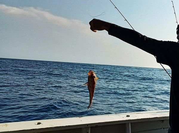 Serunya Mancing Ikan Kakap-Tenggiri di Perairan Selat Sunda