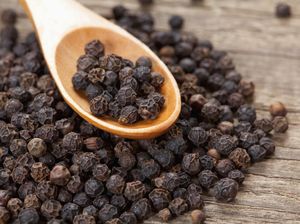 Lada Hitam Lampung Jadi Andalan Baru Penghasil Devisa RI