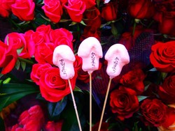 Festival Penis nan Sakral di Jepang dan Kedai Kopi degan View Menawan di Bogor