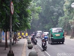 Sempat Tertutup Pohon Tumbang, Jalan Tamansari Bandung Sudah Bisa Dilalui