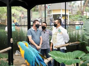 Bamsoet Ajak Masyarakat Jadi Orang Tua Asuh Hewan di Lembaga Konservasi