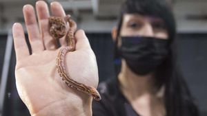 Melihat Pameran Reptil di Kanada