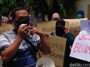 Peternak Ayam Petelur Blitar Ancam Geruduk Kementan soal Jagung Peternak Ayam Petelur Blitar Ancam Geruduk Kementan soal Jagung