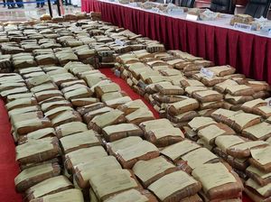 Polda Metro Beberkan Kasus 1,3 Ton Ganja Jaringan Jakarta-Medan-Aceh