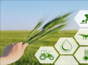 Roadmap Modernisasi Sektor Pangan Daerah