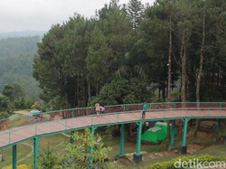 Wisata Alam Sevillage di Cianjur hingga Pure Beach di Arab Saudi