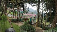 Keren! Ini Hidden Gem Baru di Cianjur yang Instagramable