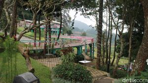 Keren! Ini Hidden Gem Baru di Cianjur yang Instagramable